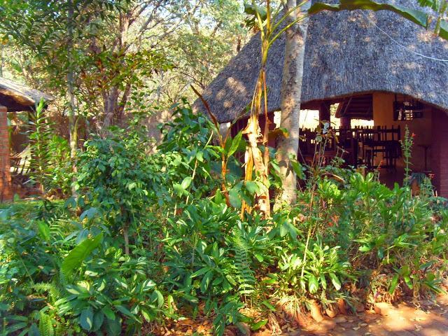 Mosi-Ua-Tunya Lodge วิกตอเรียฟอลส์ ภายนอก รูปภาพ